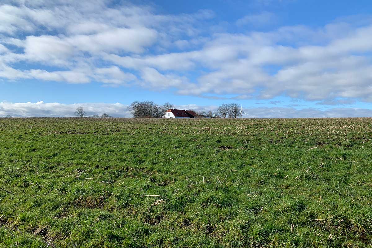 Majgården, et økologisk hobbylandbrug Projekter for Majgården 2020
